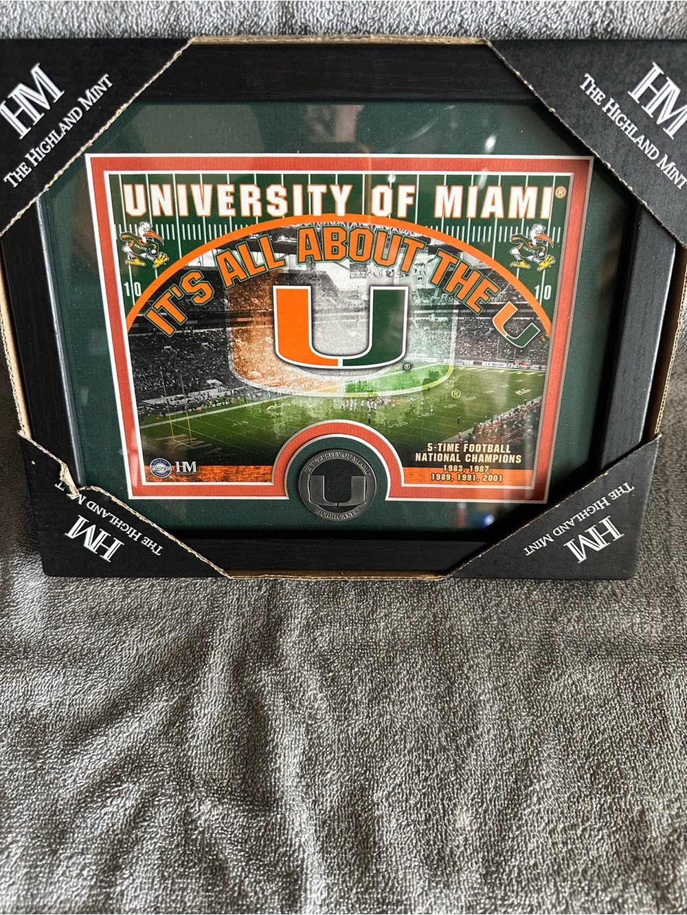 University of Miami Orange & Green Framed Wall Art